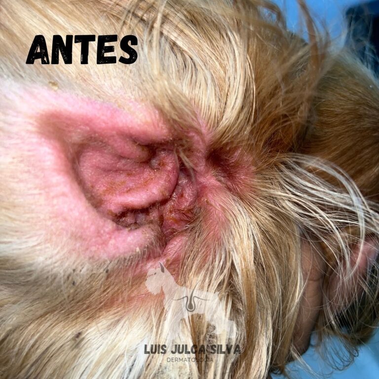 448578161_2717267385099605_5064274853364157537_n