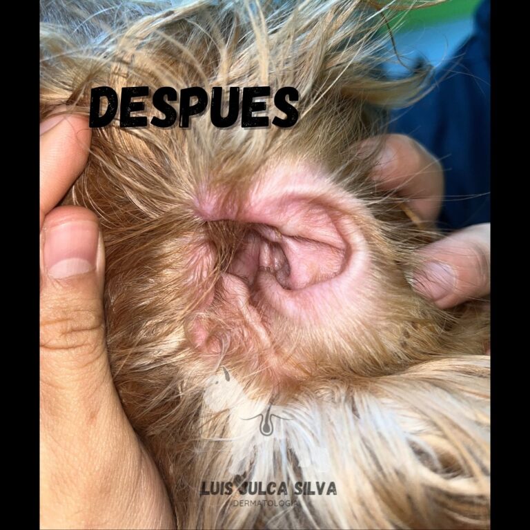 448668369_351537024367986_4676573481098410168_n