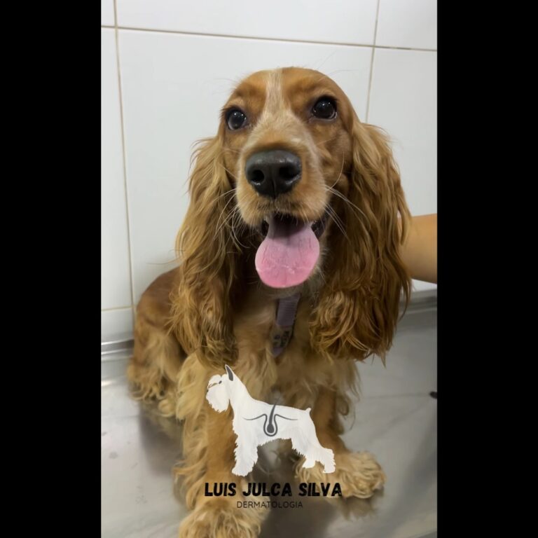 448798327_326997943786991_7477366400545781388_n